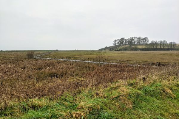 Burton Marsh